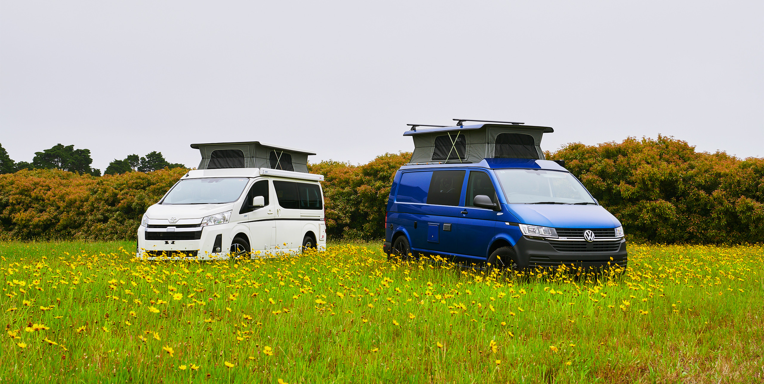 frontline campervans toyot hiace vw transporter yellow flower field